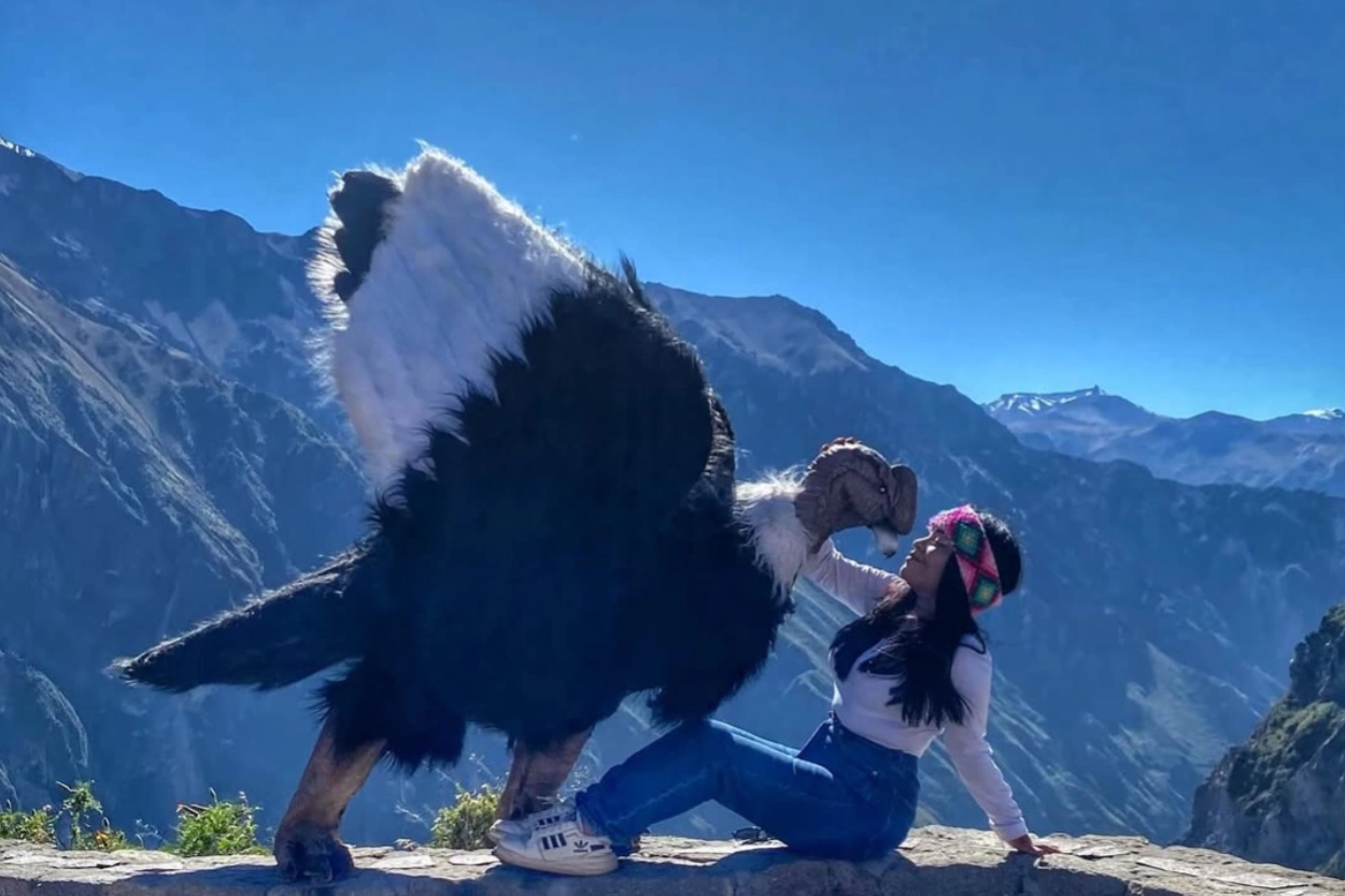 Tours-gallery-Arequipa-Colca-Canyon-Tourist-with-condor-1250x833