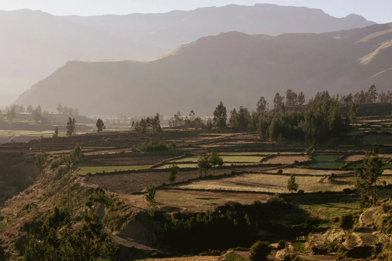 Tours-gallery-Arequipa-Colca-Canyon