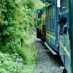 View from the train to Machu Picchu and the nature of Cusco.