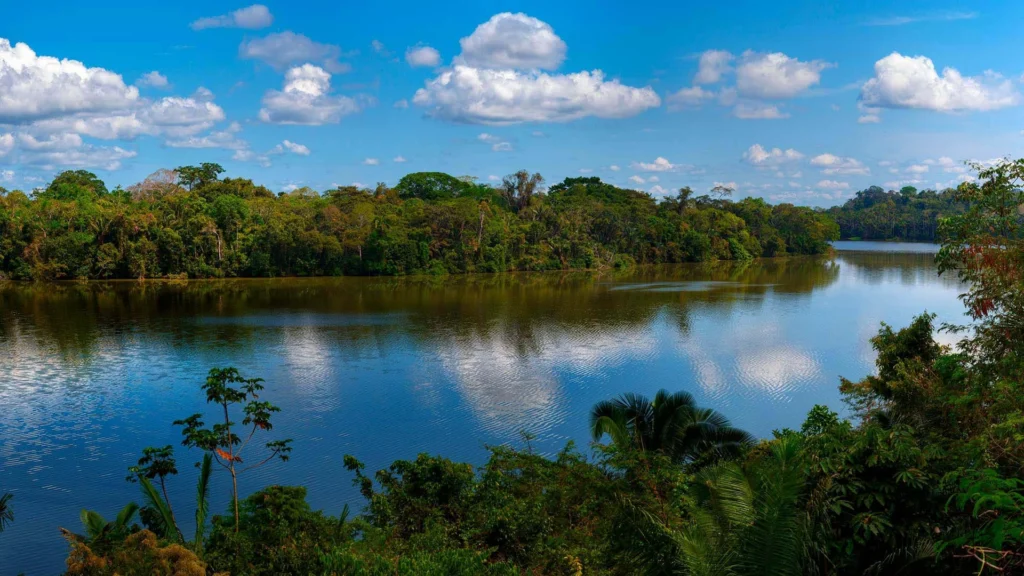 Amazon Tours