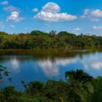 Amazon Tours
