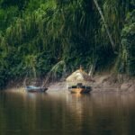 Manu National Park Tour 4D/3N - 2