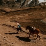 7 Lake Hike Cusco – 7 Lakes Tour Cusco​ - 2