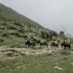 Humantay Lake Tour – Humantay Lake Tour From Cusco - 3