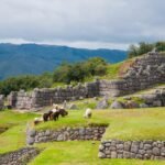 Cusco City Tour – Cusco Archaeological Sites By Bicycle - 2